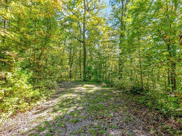 237 Ratcliff Cove Rd., Waynesville, NC 28786